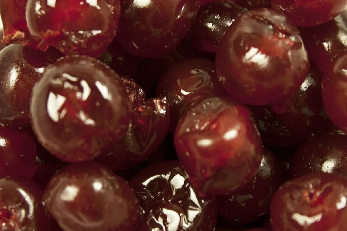 Royal Steensma Bigarreaux Rood (E120) 20-22mm 1 kg New