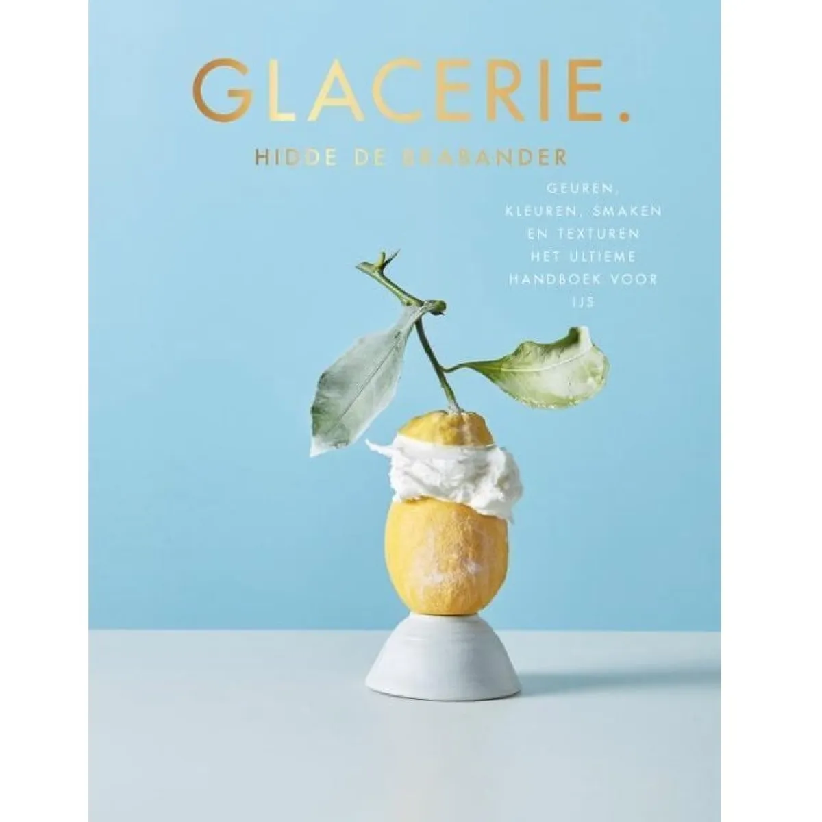 Boek: Glacerie New