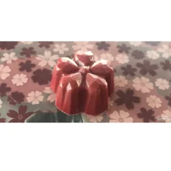 Chocolate World Bonbonvorm Sakura Origami (21x) 31x30x15mm Outlet