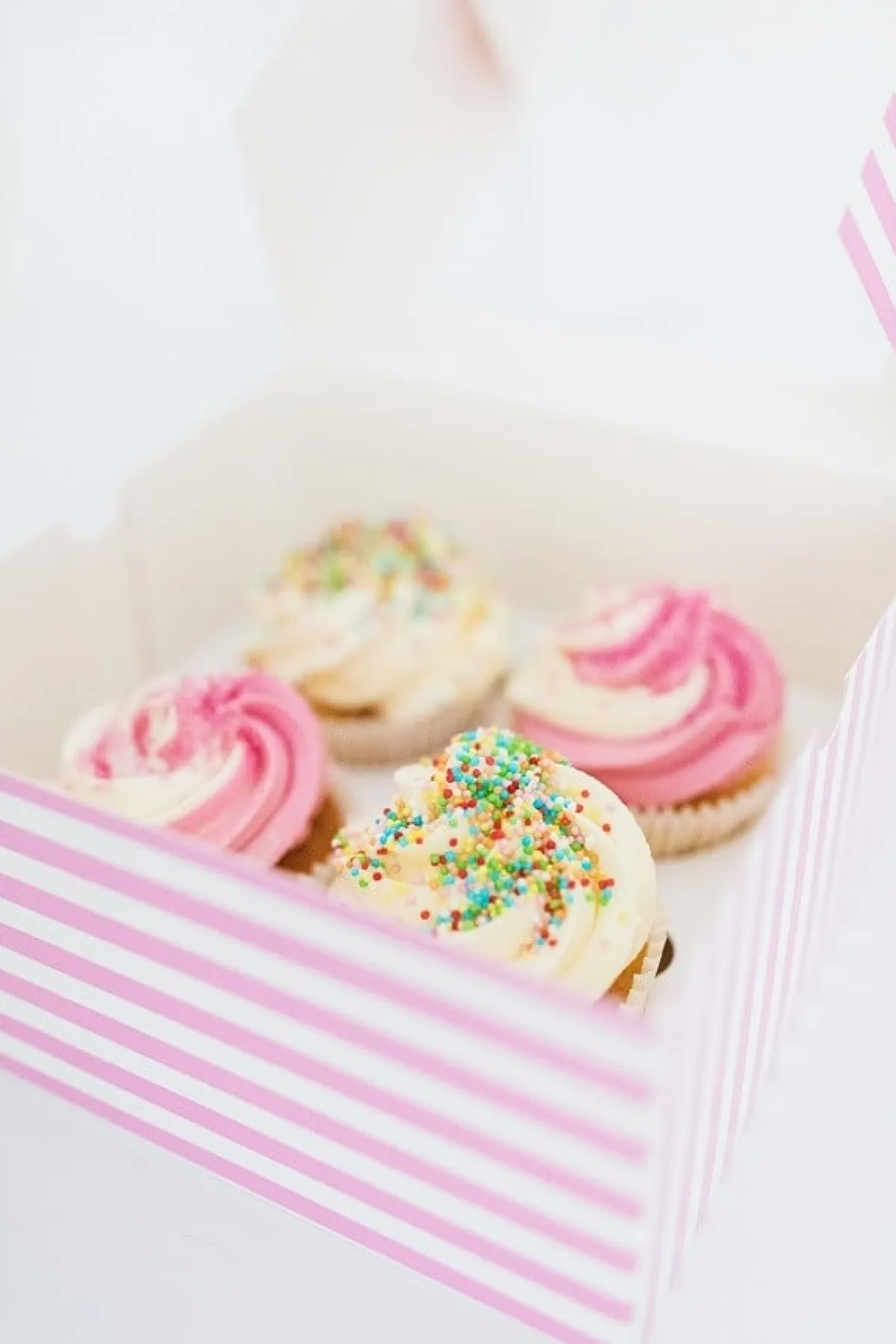 BrandNewCake Musketzaad (discodip) Mix 10kg New