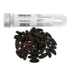 BrandNewCake Tonkabonen 50g Online