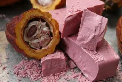 Callebaut Chocolade Callets Ruby 2,5 kg (RB1) Clearance