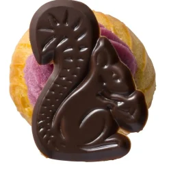 Callebaut Chocoladedecoratie Eekhoorntjes Puur 330st. Online
