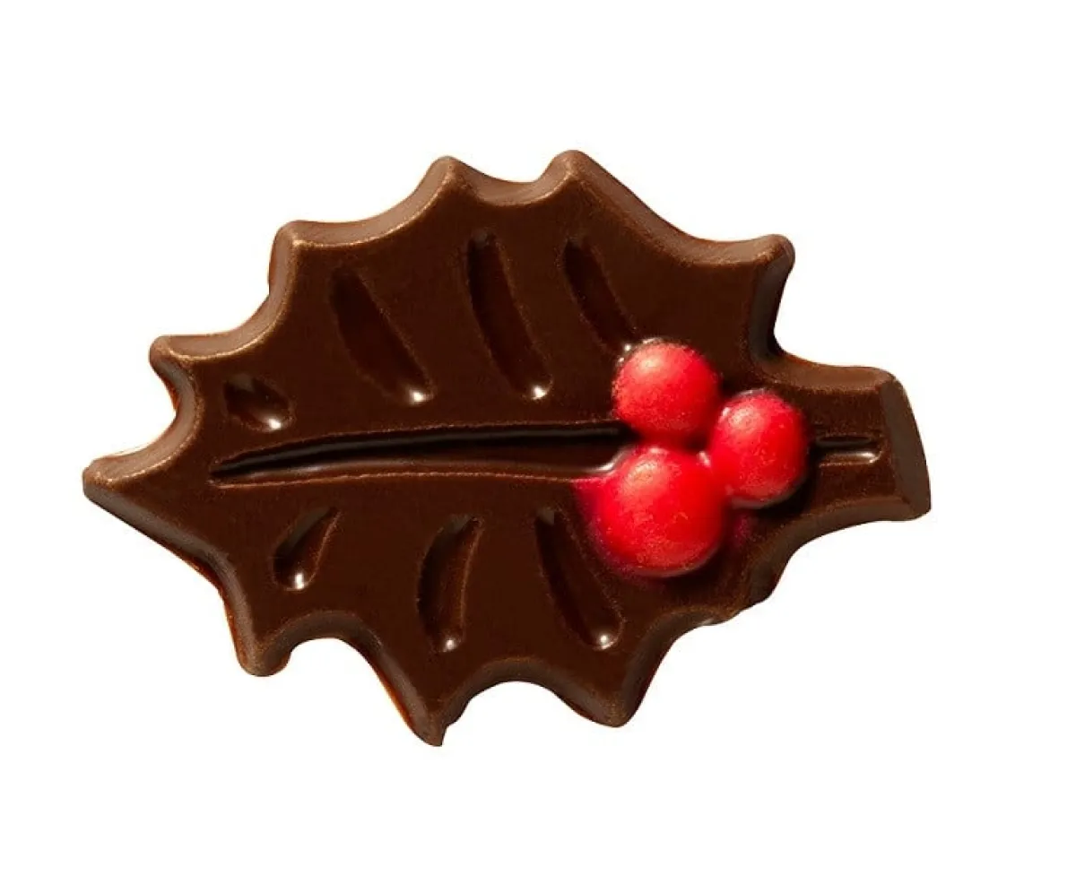 Callebaut Chocoladedecoratie Donkere Hulst Bladeren 240st Outlet