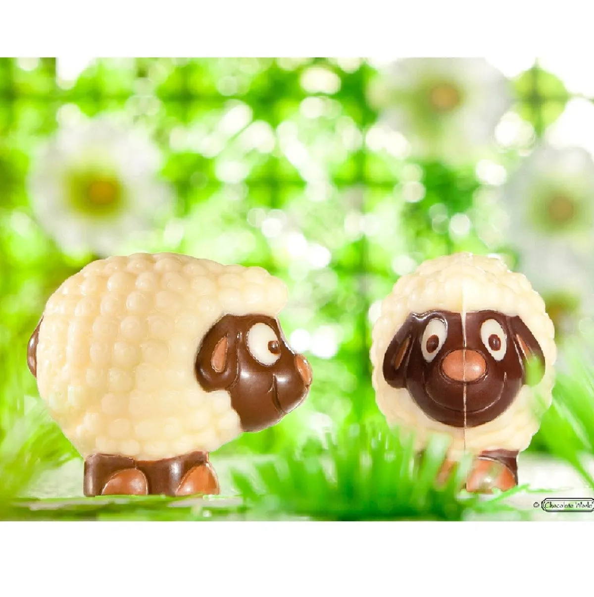 Chocolate World Chocolademal Schaap (18x) 37,5x32x12,5mm New