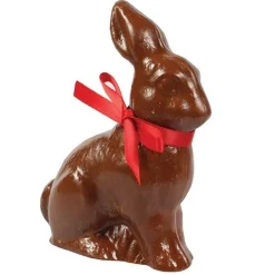 Culpitt Chocolademal Konijn 110x130mm Outlet