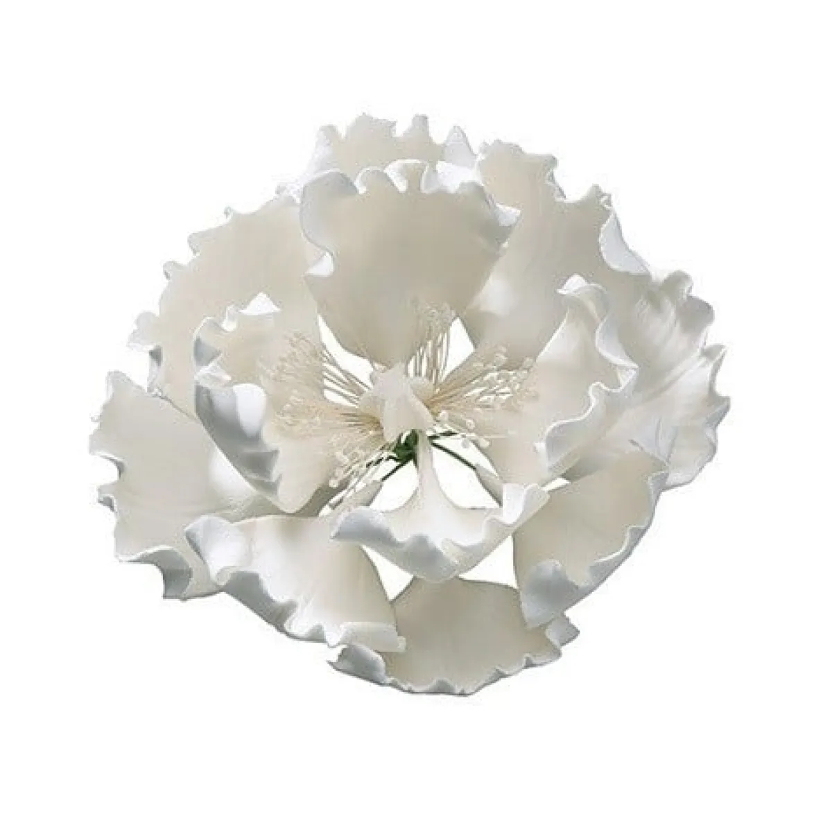 Culpitt Gumpaste Pioen Wit 10cm Best