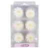 Culpitt Suikerdecoratie Madeliefjes 12st. Clearance