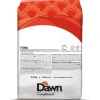 Dawn Fond Bosvruchten Bavarois 2,5kg Hot