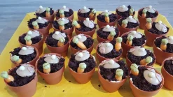 Dobla Chocoladedecoratie Bloempot Large (28 stuks) Best