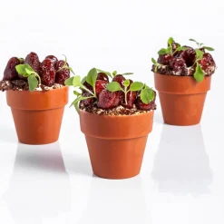 Dobla Chocoladedecoratie Bloempot Medium (66 stuks) Sale
