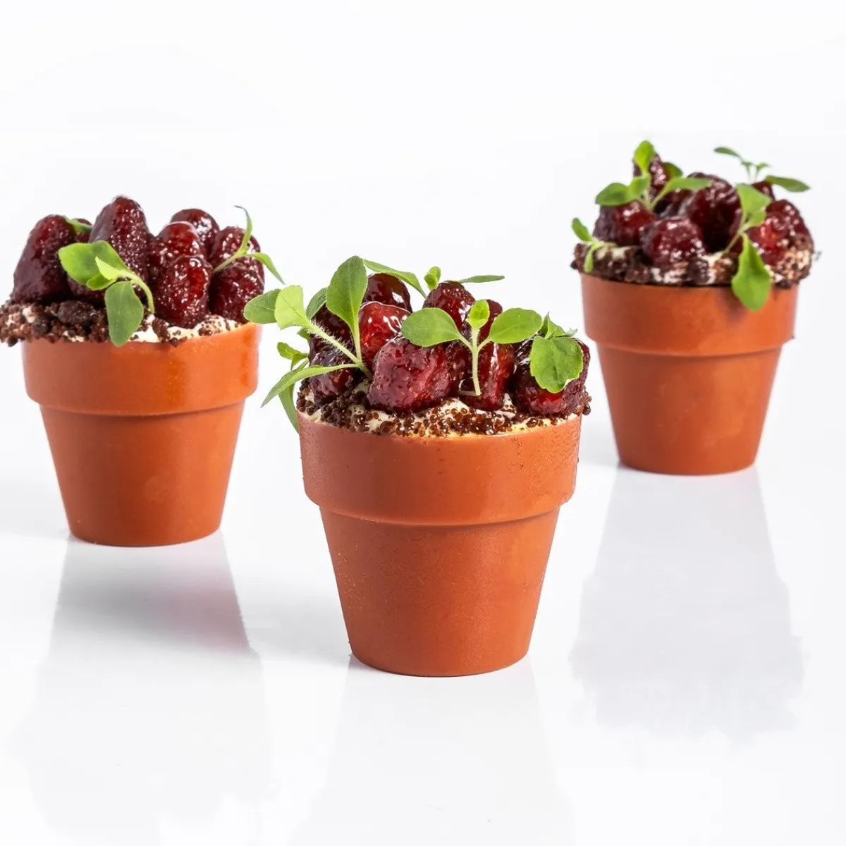 Dobla Chocoladedecoratie Bloempot Medium (66 stuks) Sale