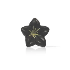 Dobla Chocoladedecoratie Bloem Donker (76 stuks)** Sale