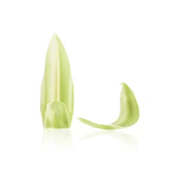 Dobla Chocoladedecoratie Blad Groen/Wit (260 stuks) Online