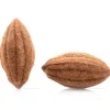 Dobla Chocoladedecoratie Cacaoboon (20 stuks) New