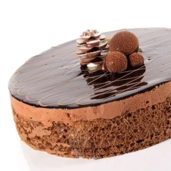 Dobla Chocoladedecoratie Dennenappel (18 stuks) Clearance