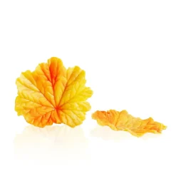 Dobla Chocoladedecoratie Herfstblad Geel (24 stuks)