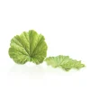 Dobla Chocoladedecoratie Lenteblad Groen (24 stuks) Clearance