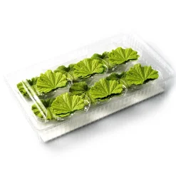 Dobla Chocoladedecoratie Lenteblad Groen (24 stuks) Clearance