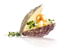 Dobla Chocoladedecoratie Oester (12 stuks) Discount