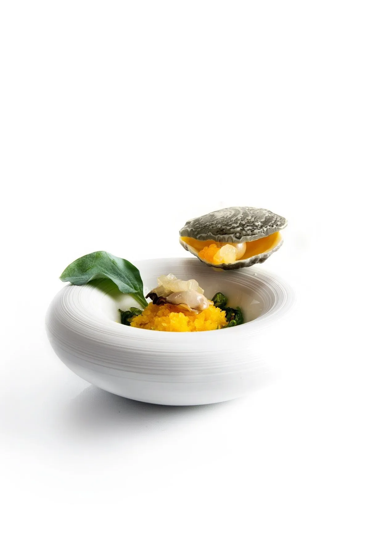 Dobla Chocoladedecoratie Oester (12 stuks) Discount
