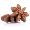 Dobla Chocoladedecoratie Steranijs (54 stuks) Hot