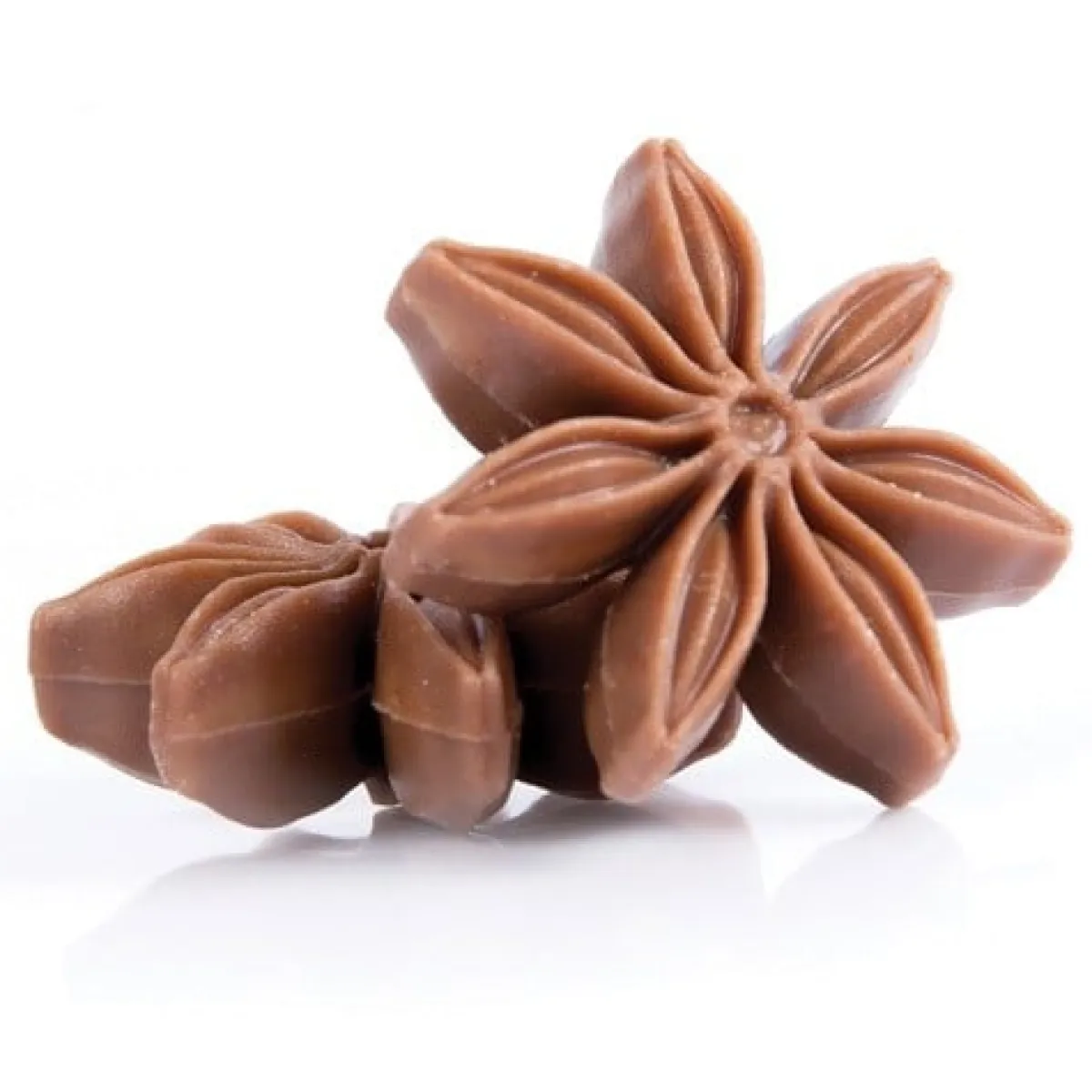 Dobla Chocoladedecoratie Steranijs (54 stuks) Hot