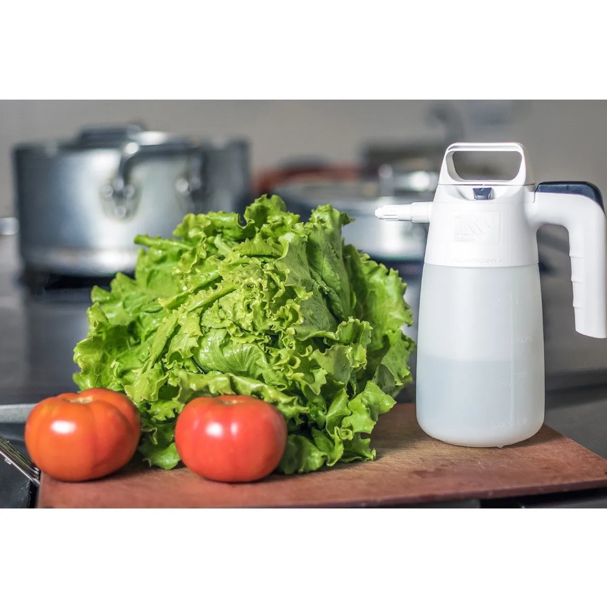 Overig Drukspuit (IK Food) 1L Outlet