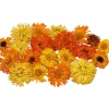 Overig Eetbare Gedroogde Goudsbloemen (20 stuks)