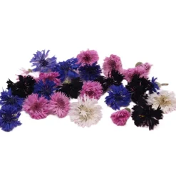 Overig Eetbare Gedroogde Korenbloemen (25 stuks) Outlet