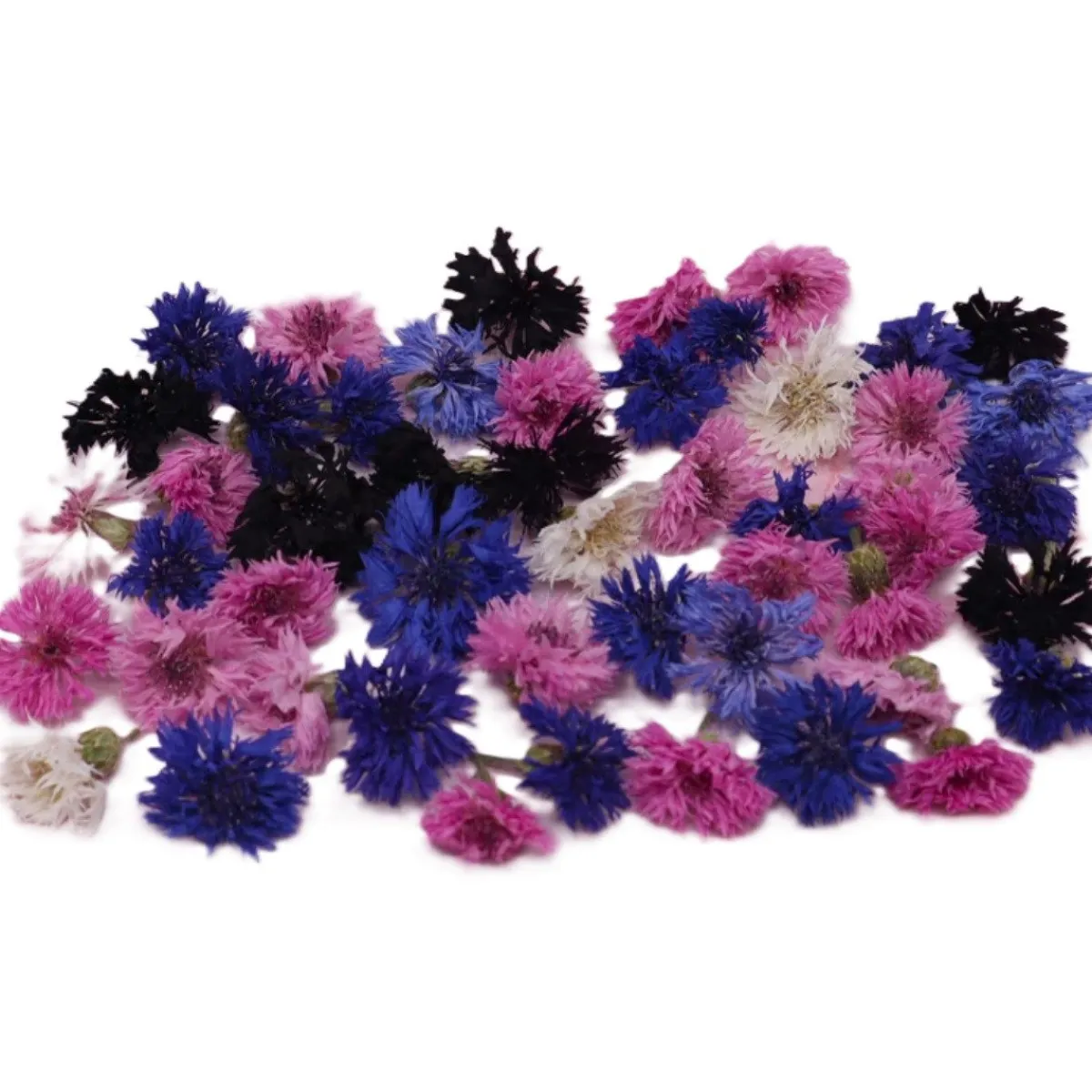 Overig Eetbare Gedroogde Korenbloemen (50 stuks) Discount
