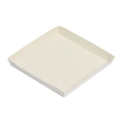 Overig Kartonnen Schaal Conisch 19x19x2,5cm 300st.** Best