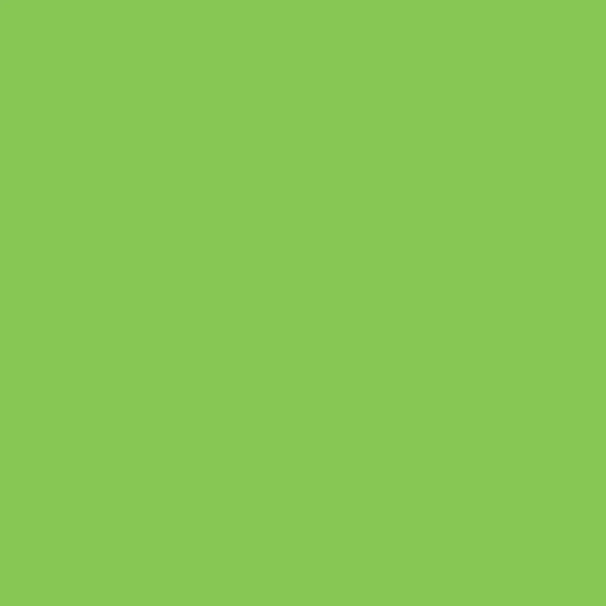PME Kleurstof gel Lime Crush 25 gram Best