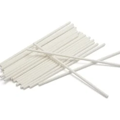 Overig Lollystokjes Papier 10cm / 500 stuks New