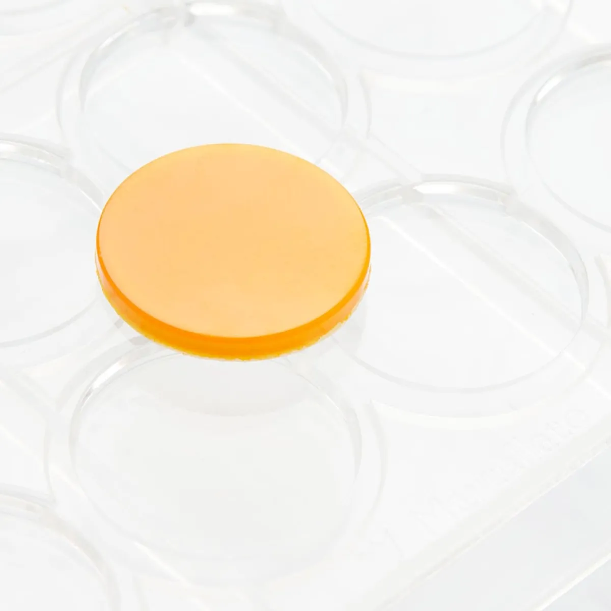 Martellato Chocolademal Circle Disk (24x) Ø33x4mm Outlet