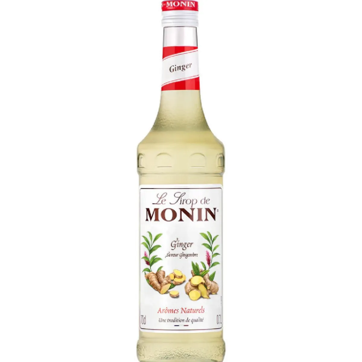 Monin Siroop Gember 700ml Online