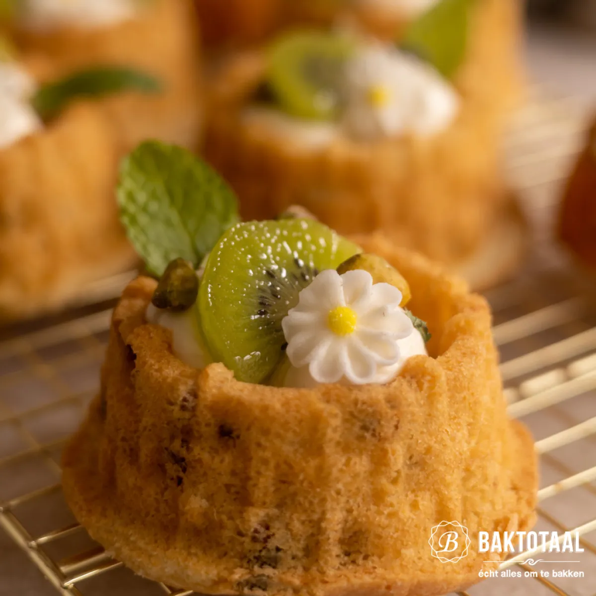 Nordic Ware Shortcake Mandjes Bakvorm Sale