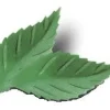 Overig Ouwel Blaadjes Gekarteld Groen 38mm (1000st) Hot