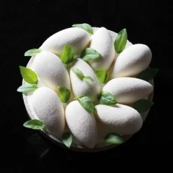 Pavoni Siliconen Vorm Mini Quenelle 42mm (100) 60x40cm Hot