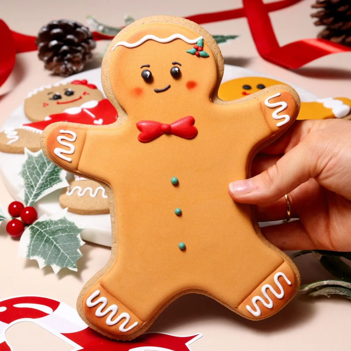 PME Grote Koekjes Uitsteker Gingerbread 18x14cm Clearance