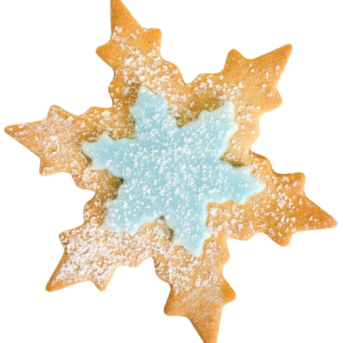 PME Koekjes uitstekerset Sneeuwvlok set/2 New