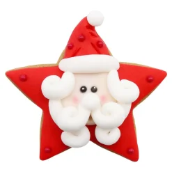 PME Koekjes Uitstekers Sterren Set/3 Outlet