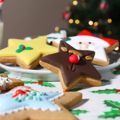 PME Koekjes Uitstekers Sterren Set/3 Outlet