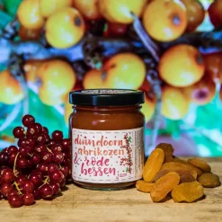 ReggeVallei Taartvulling Abrikozen-Rode Bessen 250g Best