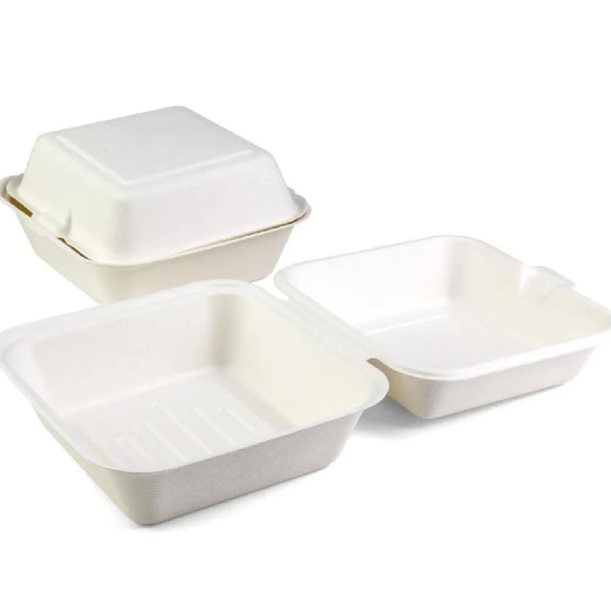Overig Senza Suikerriet Bento Box 15,5x15,5x8cm 40st. Hot