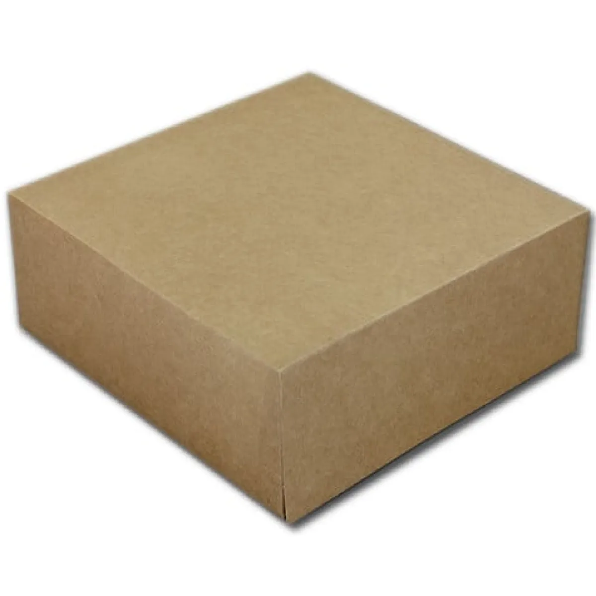 BrandNewCake Taartdoos 19x19x8cm. Kraft 50st Online