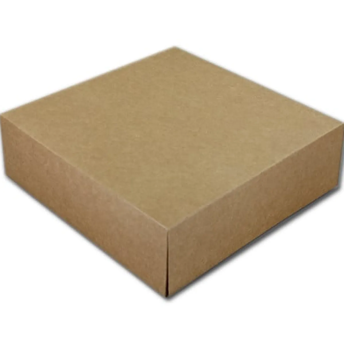 BrandNewCake Taartdoos 21x21x10cm. Kraft 50st Hot