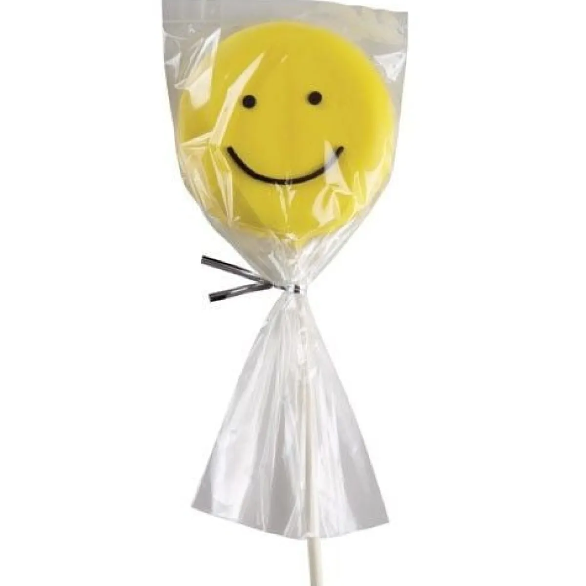 Wilton Cakepops / Lollipop zakjes 10x23cm 25st. Hot