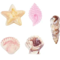 Wilton Chocolademal Schelpen (9x) Online