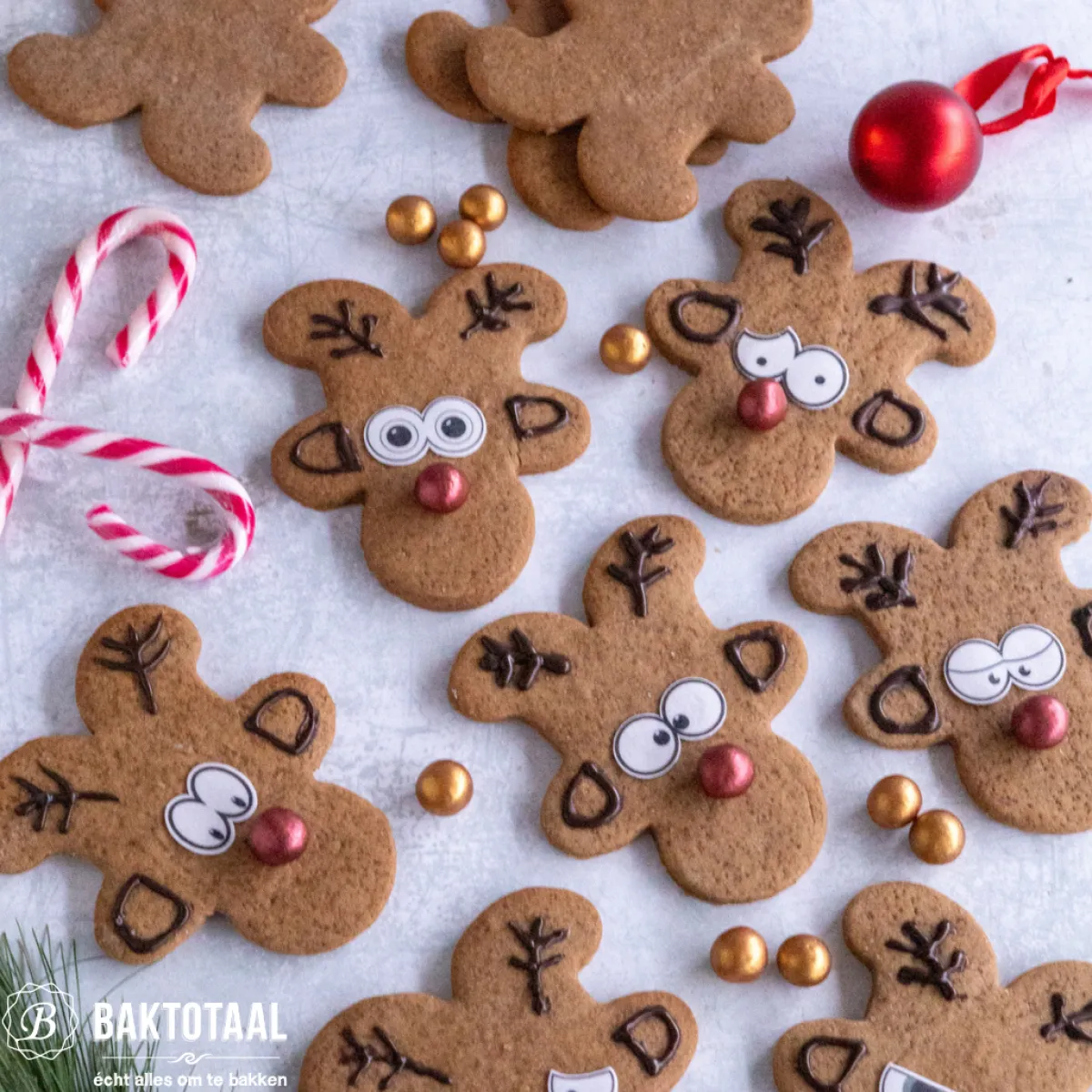 Wilton Grip Uitsteker Gingerbread New